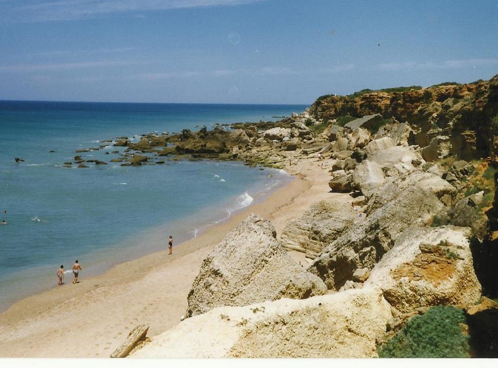 Hostal Paco Pepe Conil De La Frontera Buitenkant foto